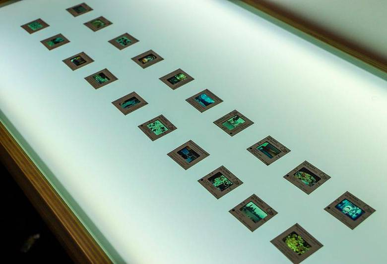 Estudiosos de la imagen cuentan con un material valioso en el Centro de Documentación del Banco de la República, ubicado en Medellín. Foto: Cortesía