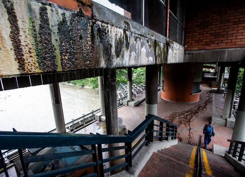 Las paredes lucen mohosas por las humedades del descuidado lugar por el que solo cruzan los más osados. FOTO: Julio Herrera.