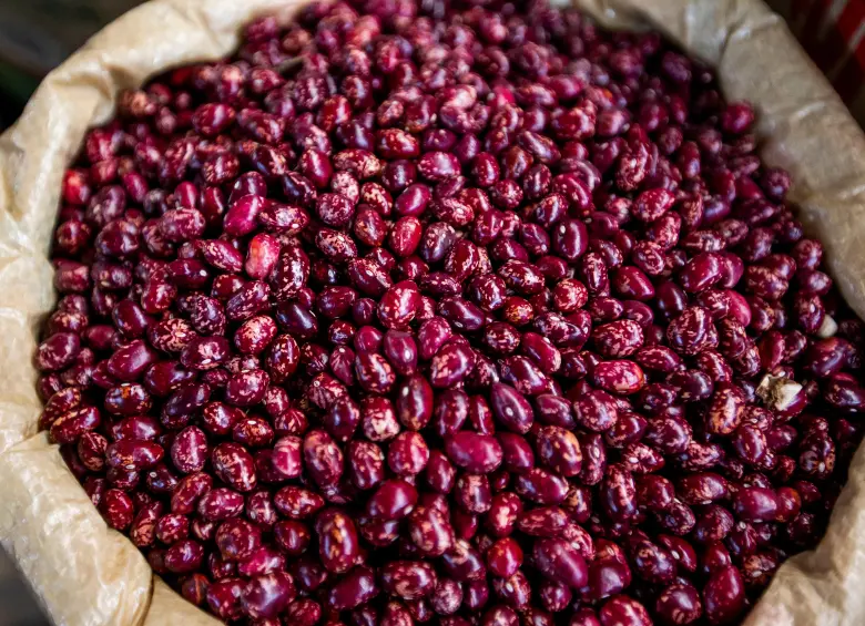 Los frijoles son los reyes de la dieta antioqueña. Estos pertenecen a la familia de las legumbres. Foto: EL COLOMBIANO