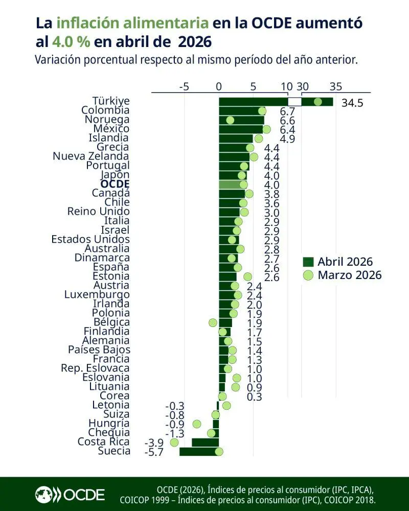 InfogrÃ¡fico