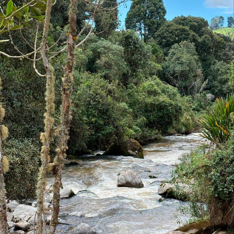 Genmas reconoce en el éxito del sector energético una oportunidad para que todas las empresas del gremio crezcan y se retroalimenten de sus experiencias. FOTO cORTESÍA