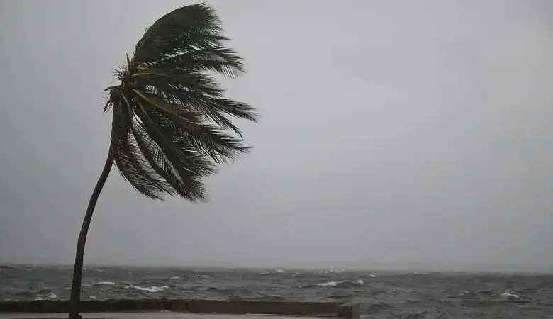 En Kingston, Jamaica, se comienzan a sentir los fuertes vientos del huracán Melissa, que avanzó a categoría 5. FOTO: AFP
