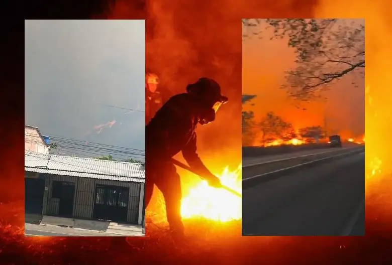Las autoridades luchan contra las llamas en el departamento del Tolima, donde hay afectaciones a diferentes sectores, como el agrícola. Foto: Gobernación del Tolima - captura de videos