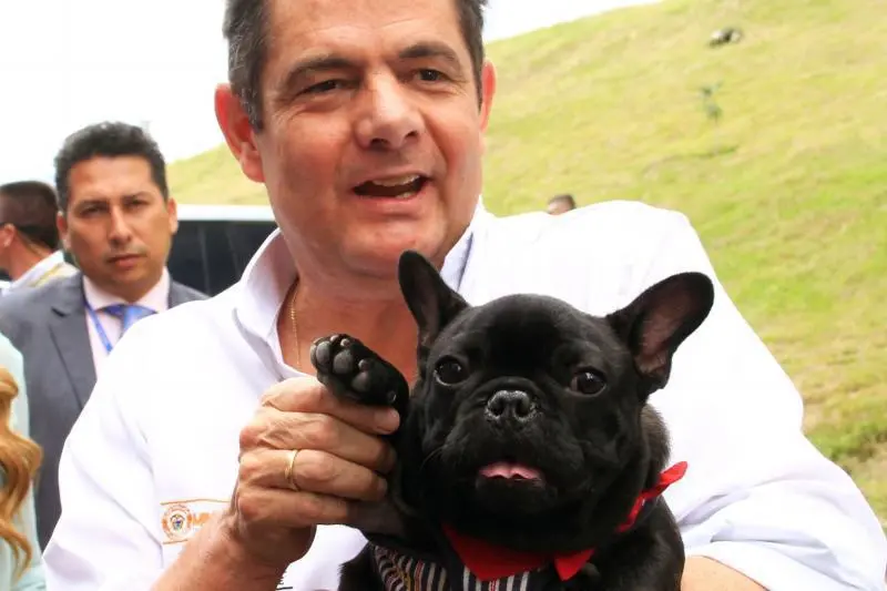 Germán Vargas Lleras y su inseparable Mancho, el bulldog francés que lo acompañó durante años. Ambos descansan en paz. Foto: redes sociales @German_Vargas
