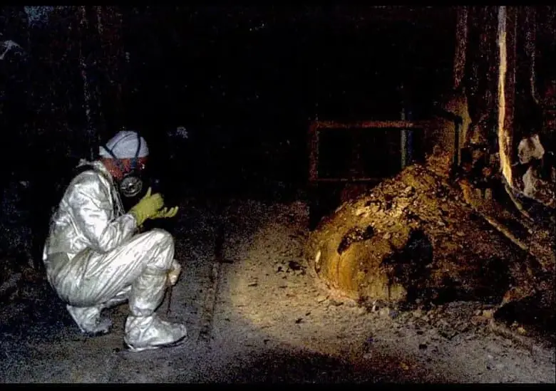 Científicos han registrado la famosa “pata de elefante”. FOTO: Getty Images.