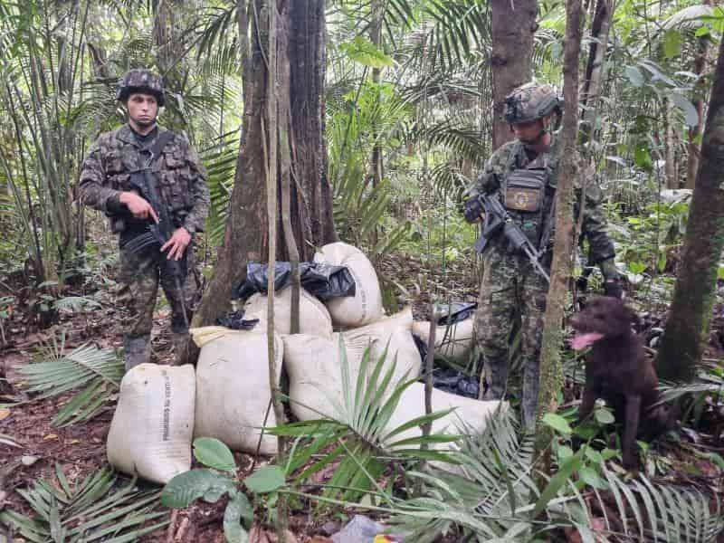 Un perro entrenado fue clave para encontrar los bultos con los explosivos en la selva. FOTO: CORTESÍA DEL EJÉRCITO.