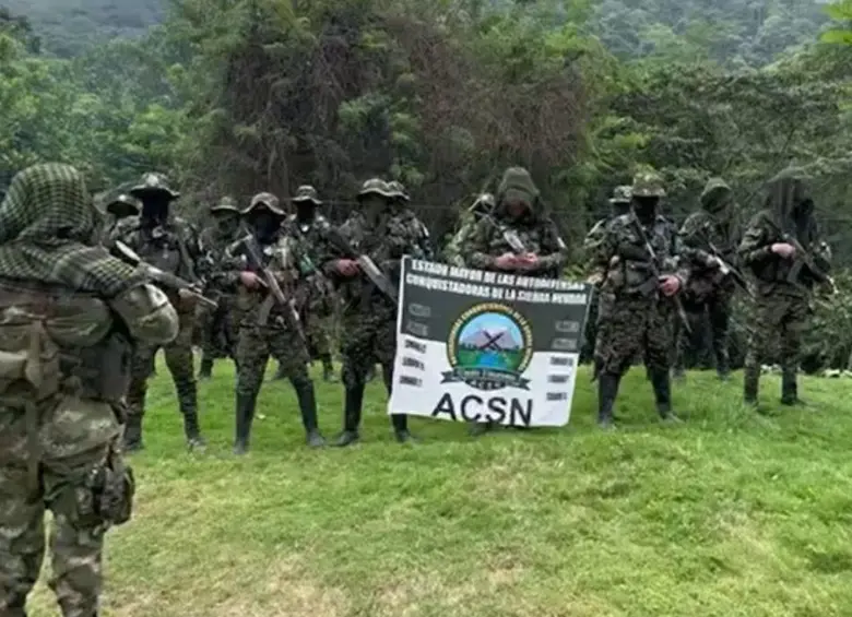 Autodefensas Conquistadores de la Sierra Nevada (ACSN). Foto: tomada de video