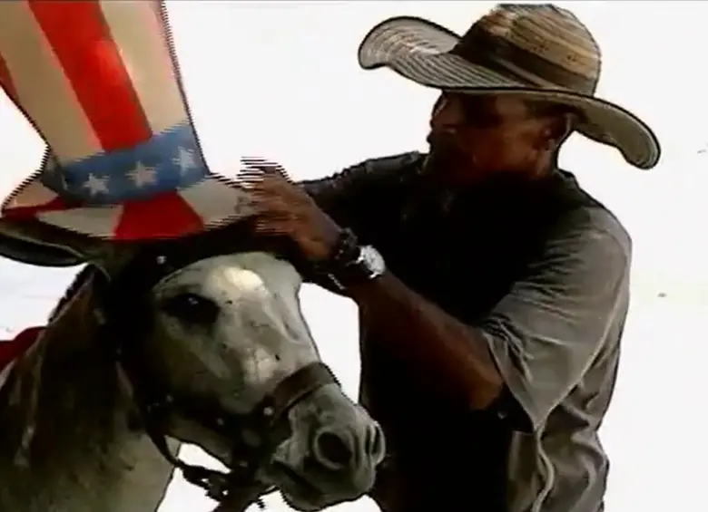 Uno de los burros “Demo” que Carrasquilla bautizó en honor al Partido Demócrata gringo. Foto: Captura de video.