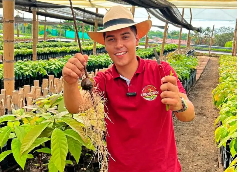 Juan Camilo Builes impulsa la propagación del limón caviar, un cultivo con potencial para llegar a los mercados. FOTO cortesía Vivero Germinar