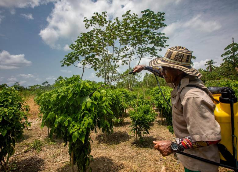 Para la producción de insecticidas, fungicidas y herbicidas se requieren plantas de reacción química con las cuales Colombia no cuenta. FOTO: CAMILO SUÁREZ