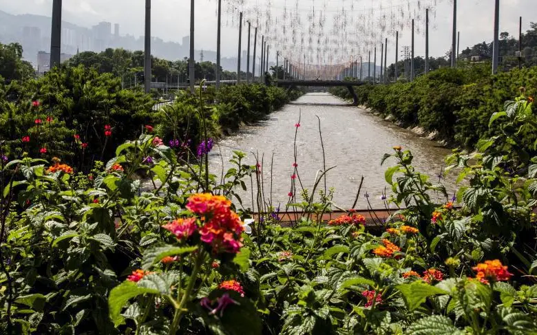 El río Medellín tiene 107 km desde el municipio de Caldas hasta Barbosa, de los cuales 25 están canalizados; por 16 km pasa la línea A del metro. Hay 84 puntos críticos. FOTO Julio César Herrera