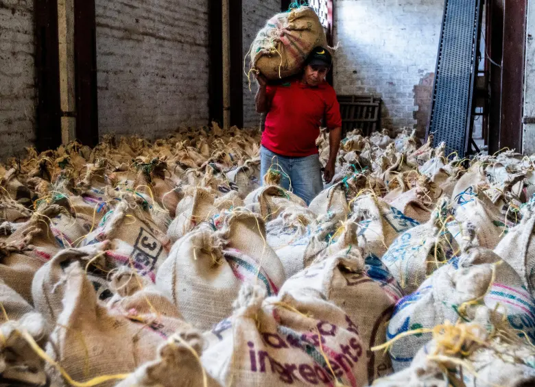 La Cooperativa de Caficultores de Andes reactivó cuatro puntos de compra de café y avanza en su proceso de recuperación tras superar gran parte de sus compromisos financieros. FOTO Julio César Herrera