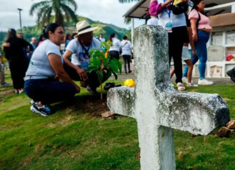 En el cementerio de Dabeiba fueron sembrados tres guayacanes en memoria de las víctimas desaparecidas e inhumadas en el cementerio de ese municipio. FOTO: Camilo Suárez.
