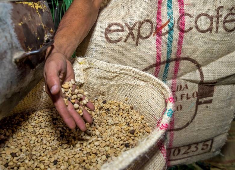 Los exportadores de café estiman que el precio interno del grano aún es manejable. FOTO Juan Antonio Sánchez