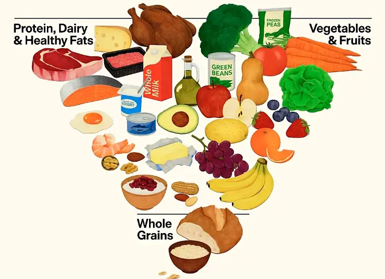 Esta es la nueva pirámide nutricional invertida presentada por el Departamento de Salud de Estados Unidos. FOTO usda