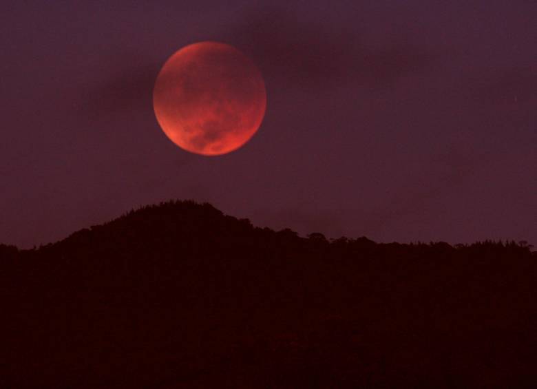 Así lucirá la luna el próximo domingo con el eclipse total de luna que será visible en Colombia. FOTO edwin bustamante