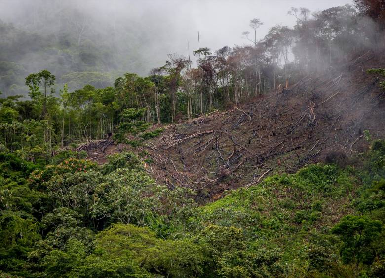 La deforestación en el Oriente antioqueño y la llegada masiva de viviendo es uno de los riesgos más grandes para la región. Foto: Juan Antonio Sánchez Ocampo