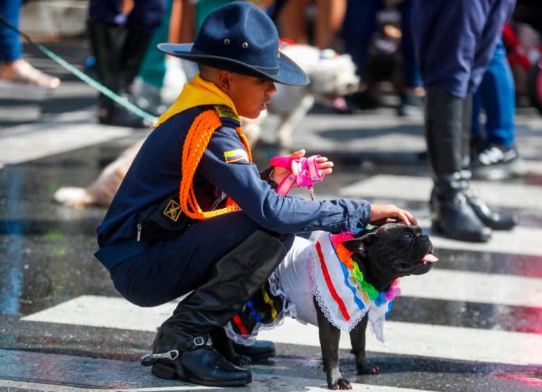 Mascotas desfilaron por las calles de Medellín con sus humanos