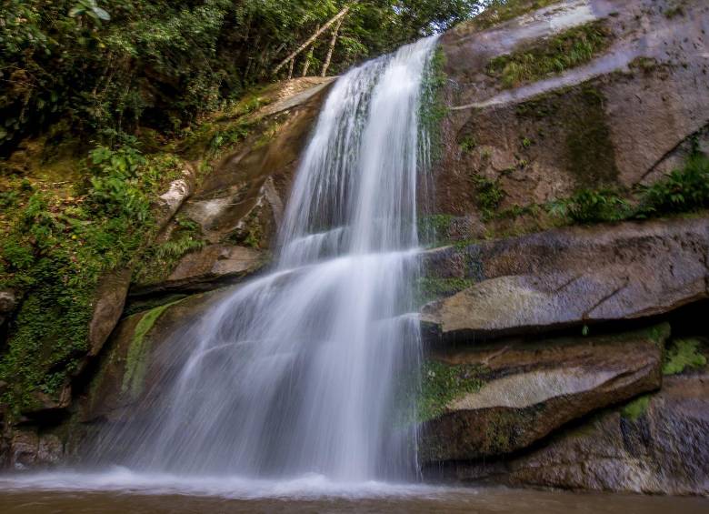 Las fuentes hídricas nacen en los ecosistemas de montaña y abastecen comunidades, cuencas y embalses de la región. FOTO: Juan Antonio Sánchez