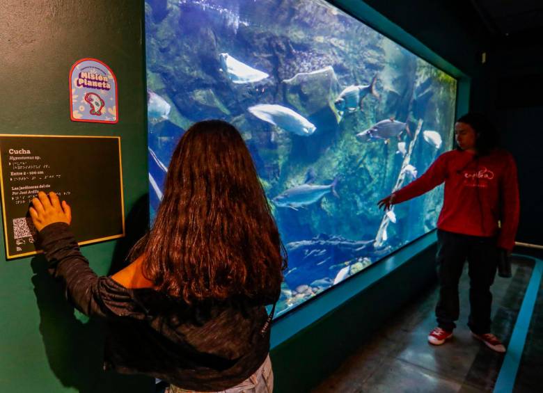 El braile ofrece información esencial sobre las 250 especies que tiene el acuario del Parque Explora. FOTO manuel saldarriaga