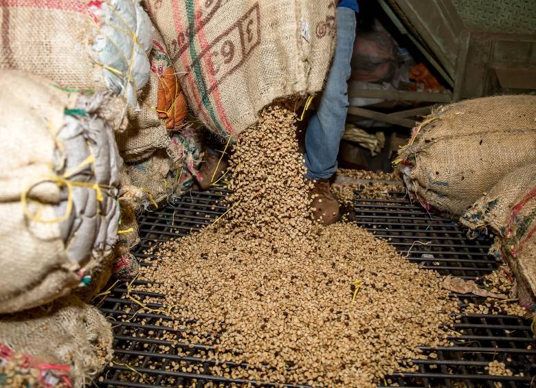 El gremio anunció el ajuste del precio de la pasilla como medida para proteger los ingresos de los caficultores afectados por el fenómeno. FOTO: Juan Antonio Sánchez