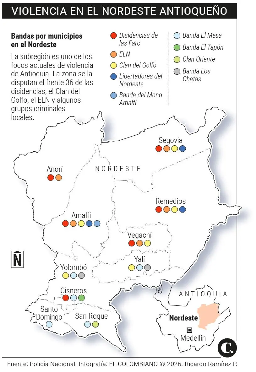 InfogrÃ¡fico