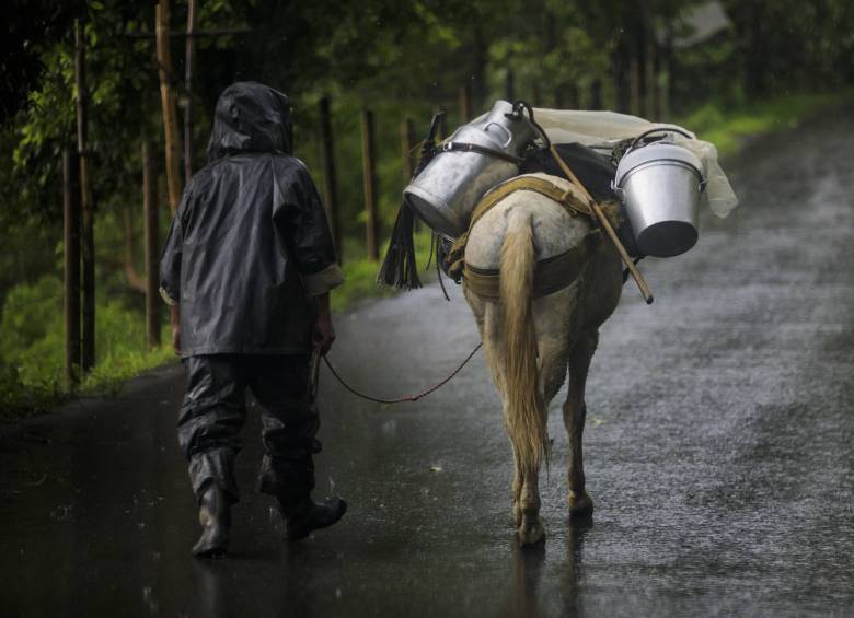 Antioquia, Chocó y Norte de Santander concentran varias alertas humanitarias. FOTO: Andrés Camilo Suárez Echeverry.