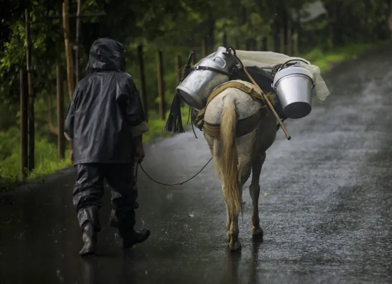 40 eventos de desplazamiento y 26 de confinamiento han ocurrido en el primer trimestre de 2026. Foto: Andrés Camilo Suárez Echeverry.