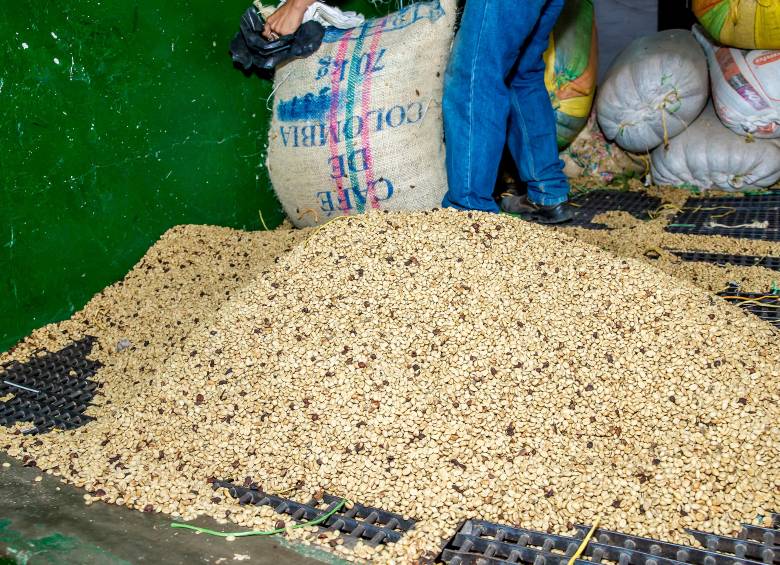 El Fondo Nacional del Café posibilita la garantía de compra y programas sociales para familias cafeteras en Colombia. FOTO Juan Antonio Sánchez