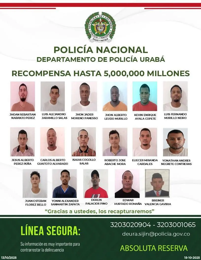 InfogrÃ¡fico