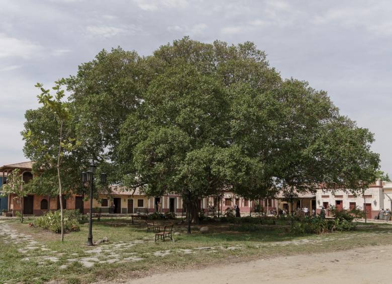 Así lucirá Macondo en la serie sobre Cien años de soledad. FOTO Cortesía Netflix