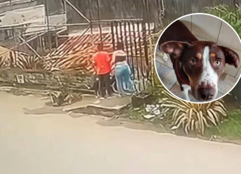 El hecho quedó registrado en video donde se puede ver cómo un hombre y una mujer arriban en un vehículo hasta las afueras de un albergue. FOTO: Cortesía Alcaldía de La Estrella