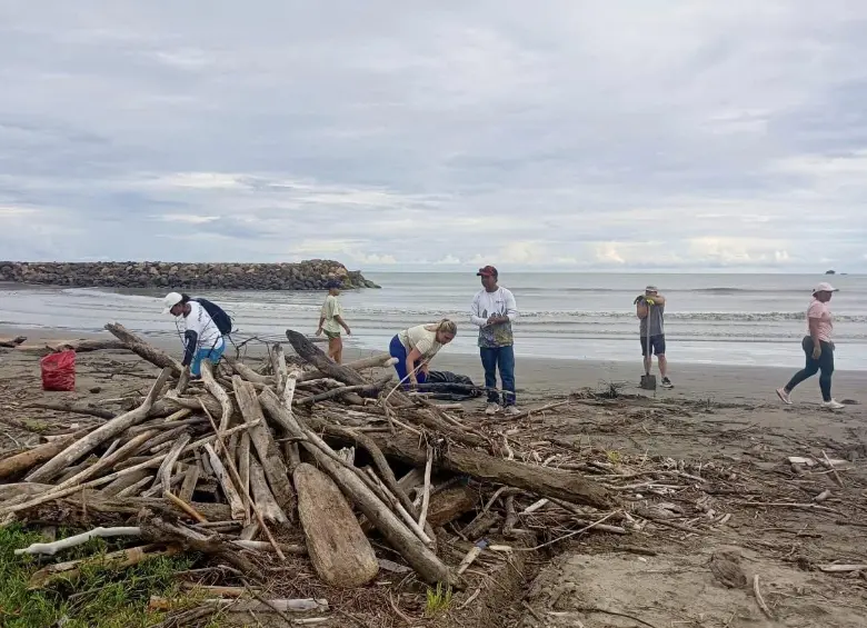 Decenas de habitantes participaron de una jornada de limpieza para embellecer las playas del municipio de Arboletes. FOTO Cortesía Corpourabá