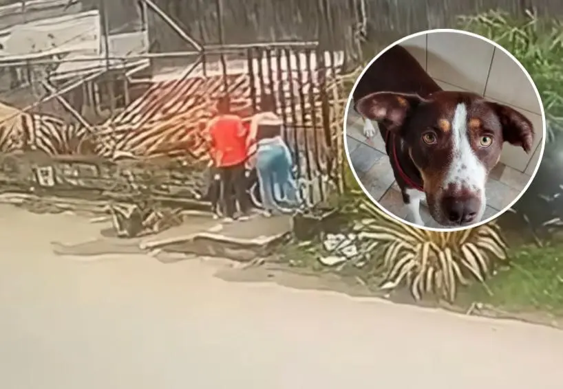 El hecho quedó registrado en video donde se puede ver cómo un hombre y una mujer arriban en un vehículo hasta las afueras de un albergue. FOTO: Cortesía Alcaldía de La Estrella