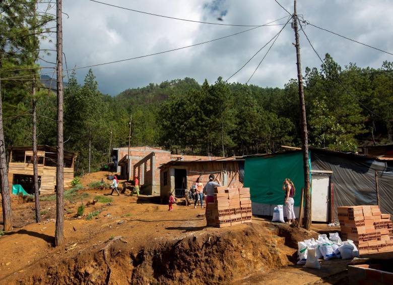 Ciudad Perdida es uno de los asentamientos irregulares más nuevos del Cerro Quitasol. La urbanización está prohibida en las áreas de protección. Foto: Andrés Camilo Suárez, 