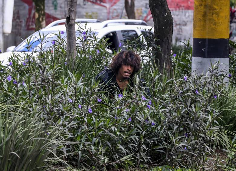 Un habitante de calle en una de las zonas verdes que sirven de pulmón en el Centro de la ciudad. Foto: Jaime Pérez Munévar.