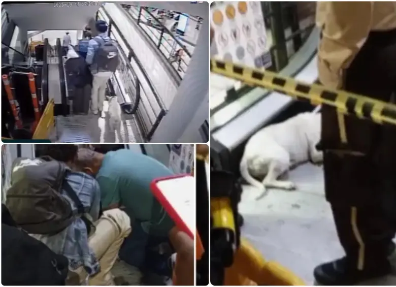La emergencia ocurrió el pasado 15 de octubre, en el Centro Comercial Terminal del Norte. FOTOS: Cortesía Teleantioquia Noticias