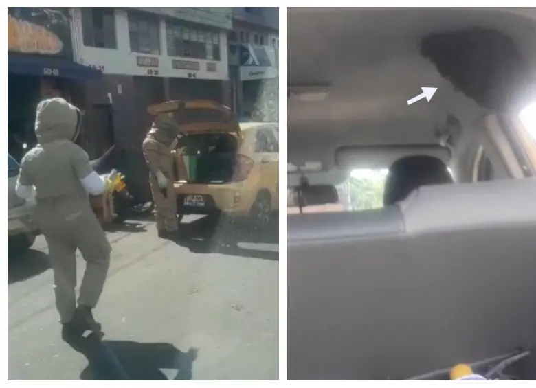 El equipo de control de abejas procediendo a retirar el panal que estaba dentro del taxi. FOTO Cortesía Denuncias Antioquia. 