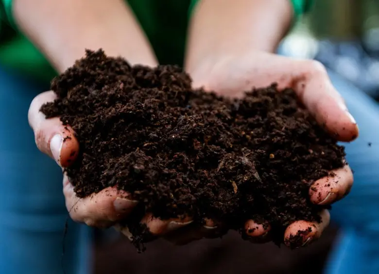 Las manos de Diana, mostrando el resultado final. FOTO Julio César Herrera. 