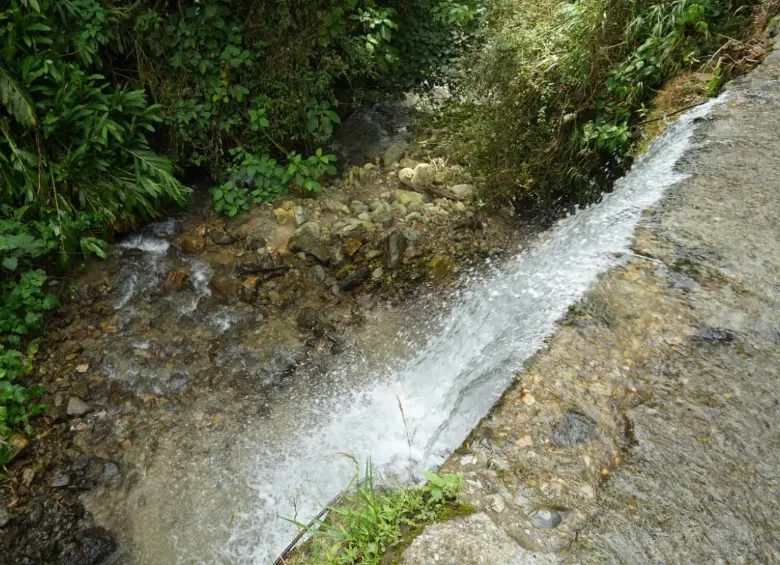 Las intervenciones abarcarán áreas estratégicas como la cuenca del río Arma, las subcuencas de El Buey, Piedras y Pantanillo. FOTO Alcaldía de Medellín. 