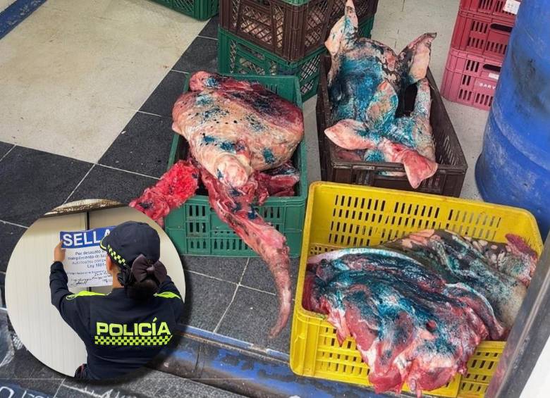 A la carne en mal estado le aplican un líquido de color azul para identificarla como no apta para el consumo. FOTOS Alcaldía de Bello.
