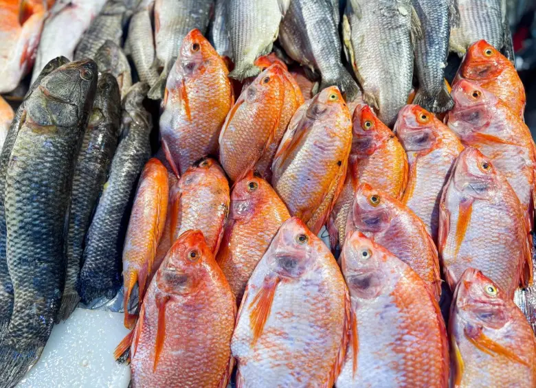 Imagen de referencia de pescados listos para la venta en la capital antioqueña. FOTO: Cortesía Alcaldía de Medellín