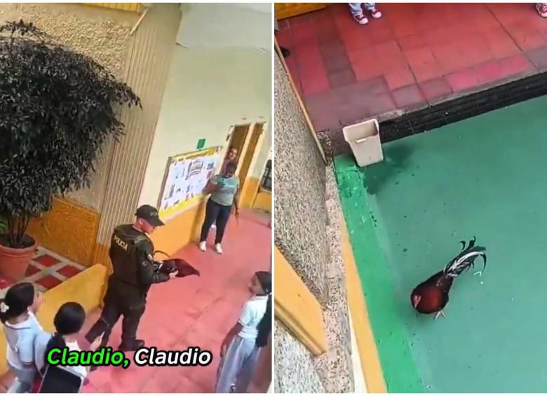 Por fortuna, Claudio fue hallado sano y salvo y devuelto a la institución educativa, donde lo recibieron con gran alegría y júbilo.