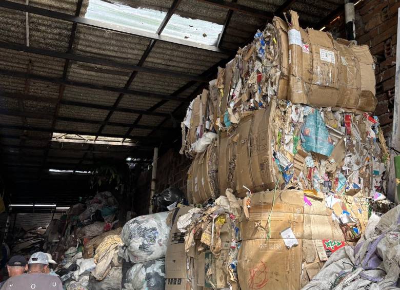 Según Asemar, el pasado 7 de octubre solicitó a Emvarias recoger las más de ocho toneladas bajo la categoría de rechazo, para trasladarlas al relleno sanitario y darles disposición final. FOTO Cortesía Asemar. 