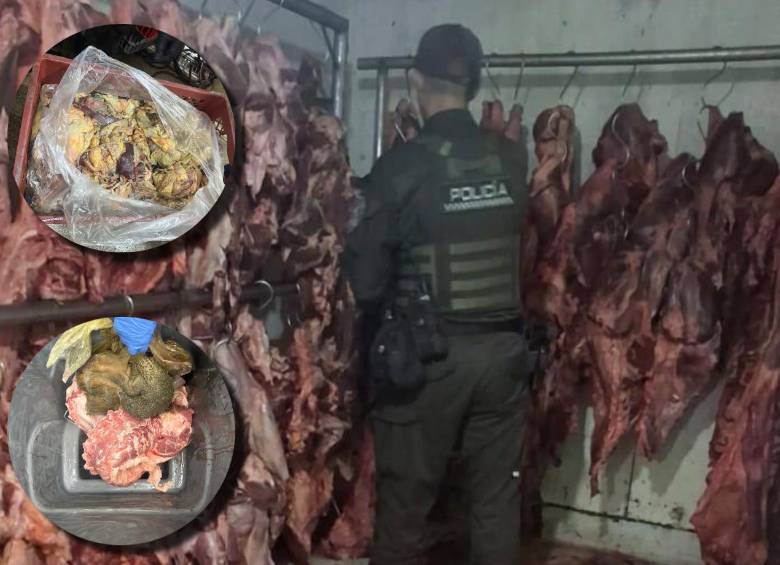 Así lucía parte de la carne incautada en Campo Valdés. FOTOS Policía Metropolitana. 