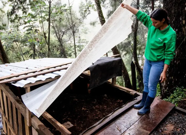 Diana, enseñando cómo quedan los residuos orgánicos después de un mes de tratamiento, los cuales deben pasar un mes más por la etapa de maduración. FOTO Julio César Herrera. 