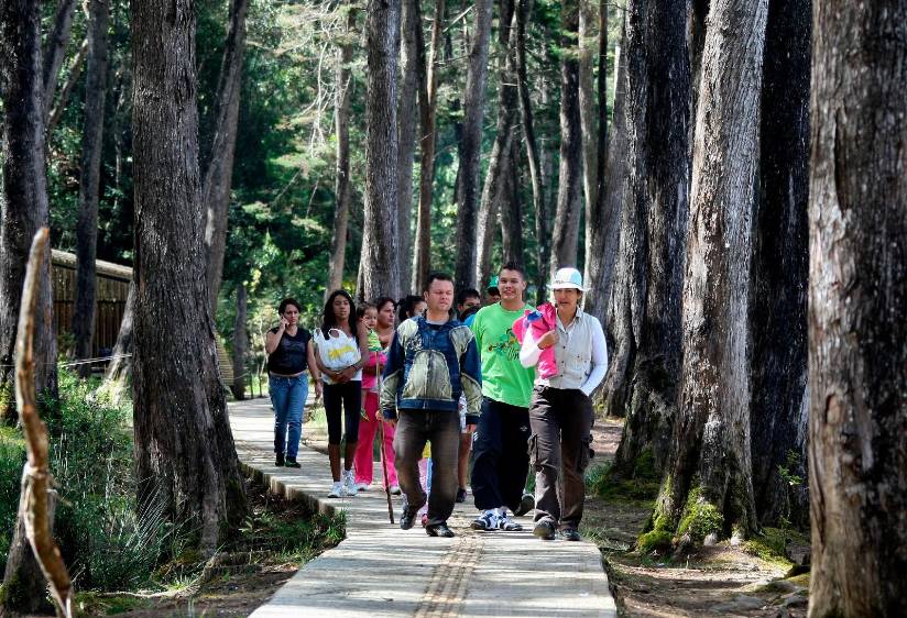 La conservación del patrimonio ambiental del Oriente también se construye con la participación de las comunidades. FOTO: Juan Antonio Sánchez