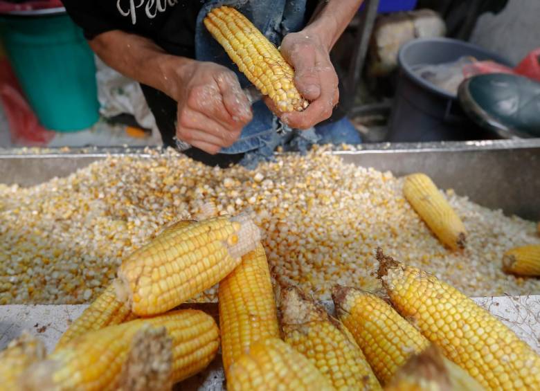 Según la FAO, en arepas, mazamorra, tortas y crispetas, cada colombiano consume 30 kilos de maíz por año, lo que representa el 9% de la energía diaria de la dieta. Foto: Donaldo Zuluaga