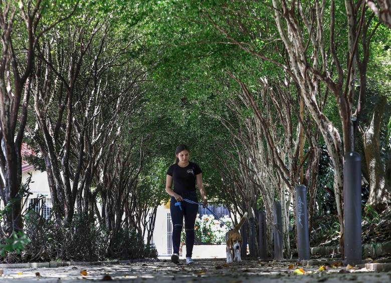 Medellín, el referente global que apunta a ser una ‘ciudad esponja’
