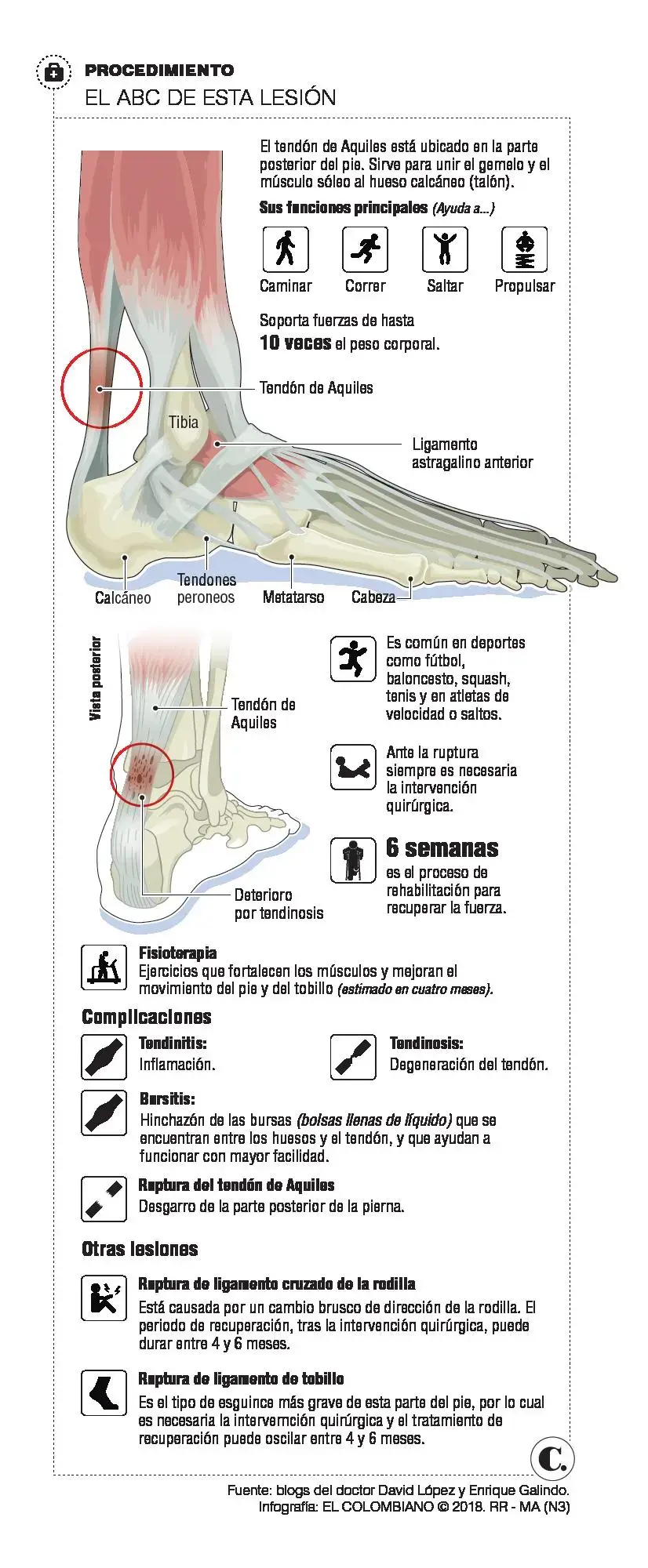 InfogrÃ¡fico